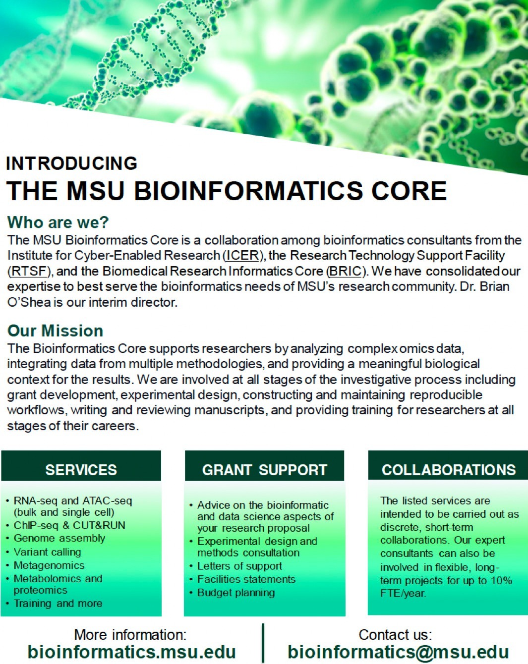 Bioinformatics-Flier