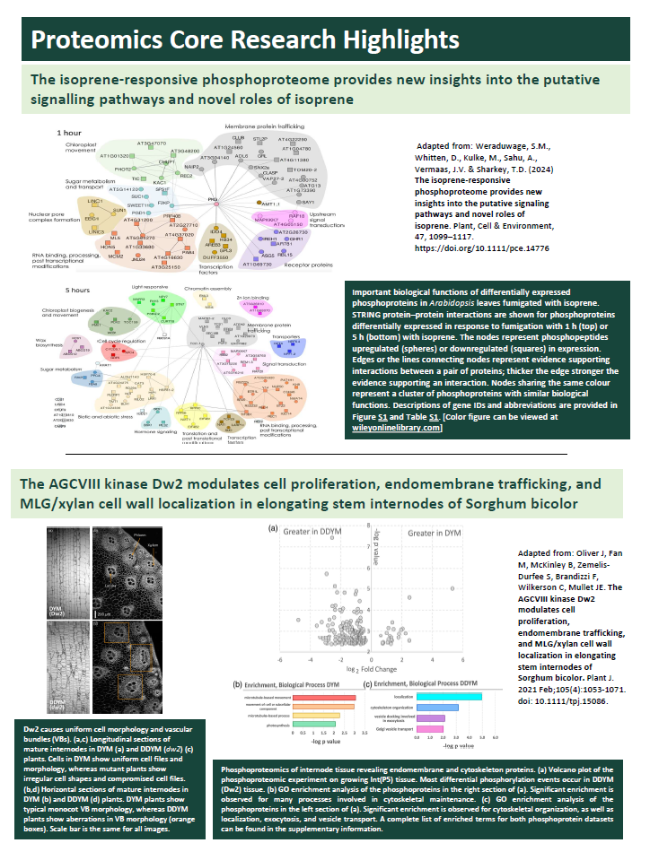 Research Highlights
